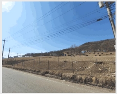  2025Ÿ51690  Ȼ ϱ ϵ 31-1      (Ӿ)