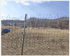  2025Ÿ51690  Ȼ ϱ ϵ 31-1      (Ӿ)