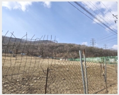  2025Ÿ51690  Ȼ ϱ ϵ 31-1      (Ӿ)