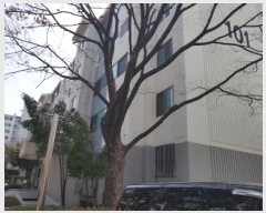  2025Ÿ51923   յ 1886-5 վƮ 101 5503ȣ    Ʈ