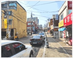  2025Ÿ��51999  �ټ���(����)���