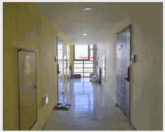  2025Ÿ52024   ö굿 119-2  ǽ 7726ȣ    ǽڰ