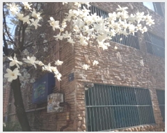  2025Ÿ��52047  �ټ���(����)���