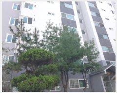  2025Ÿ��52066 ��� ����� ���յ� 1874-2 ȭ������Ʈ 102�� 3��304ȣ    ����Ʈ���