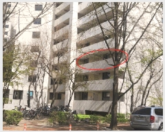  2025Ÿ��52092 ��� ������ ö�굿 449 �ְ�����Ʈ 1204�� 3��308ȣ    ����Ʈ���