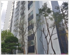  2025Ÿ��52113  ����Ʈ���