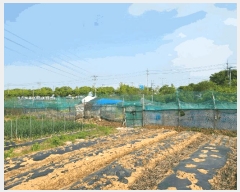  2025Ÿ��52233 ��� �Ȼ�� �ܿ��� �ű浿 216-126      ����(��1)���