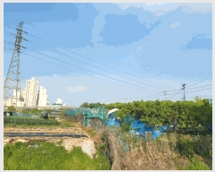  2025Ÿ��52233 ��� �Ȼ�� �ܿ��� �ű浿 216-126      ����(��1)���