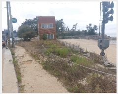  2025Ÿ��52317 ��� �Ȼ�� �ܿ��� ��κϵ� 1849-39      �ٸ��ü�,�󰡰��