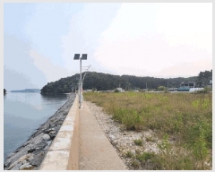  2025Ÿ��52394 ��� �Ȼ�� �ܿ��� ��γ��� 728-26      ����(��1)���