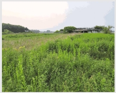  2025Ÿ��52394 ��� �Ȼ�� �ܿ��� ��γ��� 728-26      ����(��1)���