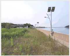  2025Ÿ��52394 ��� �Ȼ�� �ܿ��� ��γ��� 728-26      ����(��1)���