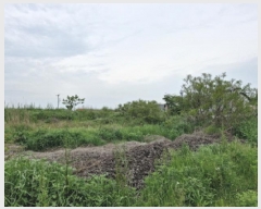  2025Ÿ��52394 ��� �Ȼ�� �ܿ��� ��γ��� 728-26      ����(��1)���