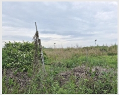  2025Ÿ��52394 ��� �Ȼ�� �ܿ��� ��γ��� 728-26      ����(��1)���