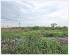  2025Ÿ��52394 ��� �Ȼ�� �ܿ��� ��γ��� 728-26      ����(��1)���