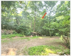  2025Ÿ��52411  �Ӿ߰��