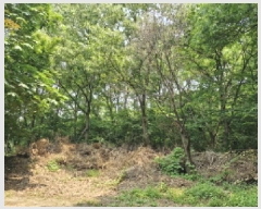  2025Ÿ��52411  �Ӿ߰��