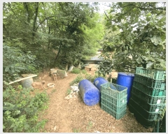  2025Ÿ��52520 ��� ����� ������ 480-17       ����(������)���