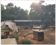  2025Ÿ��52520 ��� ����� ������ 480-17       ����(������)���