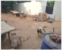  2025Ÿ��52520 ��� ����� ������ 480-17       ����(������)���