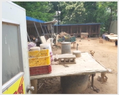  2025Ÿ��52520 ��� ����� ������ 480-17       ����(������)���