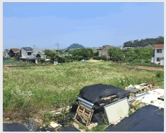  2025Ÿ��52556 ��� �Ȼ�� �ܿ��� ��ε��� 34-2      ����(��1)���