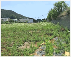  2025Ÿ��52556 ��� �Ȼ�� �ܿ��� ��ε��� 34-2      ����(��1)���