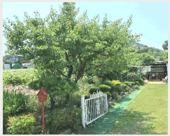  2025Ÿ��52556 ��� �Ȼ�� �ܿ��� ��ε��� 34-2      ����(��1)���