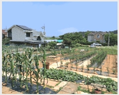  2025Ÿ��52556 ��� �Ȼ�� �ܿ��� ��ε��� 34-2      ����(��1)���