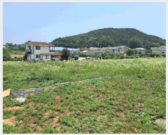  2025Ÿ��52556 ��� �Ȼ�� �ܿ��� ��ε��� 34-2      ����(��1)���