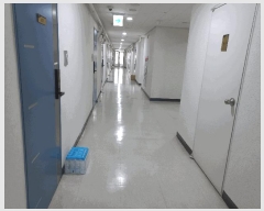  2025Ÿ��52580  ���ǽ��ڰ��