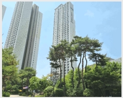  2025Ÿ��52624 ��� �Ȼ�� �ܿ��� ���ܵ� 782 �Ȼ극��ũŸ��Ǫ������ 111�� 35��3504ȣ   ����Ʈ���