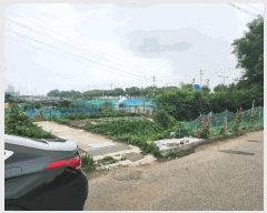  2025Ÿ��52664  �����