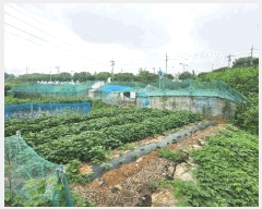  2025Ÿ��52664  �����