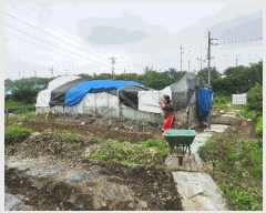  2025Ÿ��52664  �����