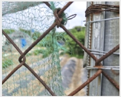  2025Ÿ��52664  �����