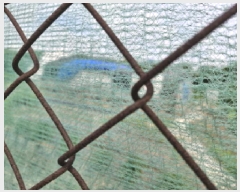  2025Ÿ��52664  �����