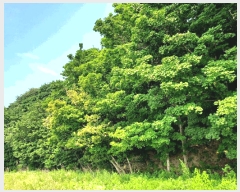  2025Ÿ��52735  �Ӿ߰��