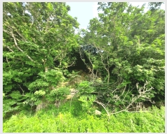  2025Ÿ��52735  �Ӿ߰��