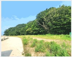  2025Ÿ��52735  �Ӿ߰��