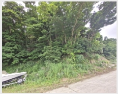  2025Ÿ��52735  �Ӿ߰��