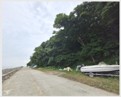  2025Ÿ��52735  �Ӿ߰��