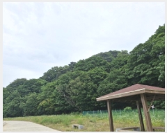  2025Ÿ��52735  �Ӿ߰��