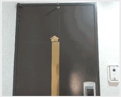  2025Ÿ��52784  �ټ���(����)���