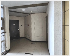  2025Ÿ��52835  ����Ʈ���