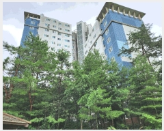  2025Ÿ��52835  ����Ʈ���