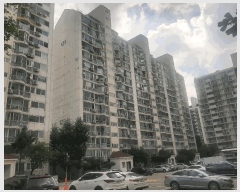  2025Ÿ��52861  ����Ʈ���