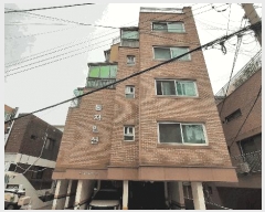  2025Ÿ��52916  �ټ���(����)���