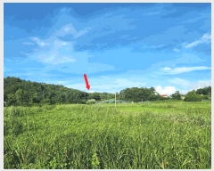  2025Ÿ��52998  ����