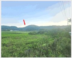  2025Ÿ��52998  ����